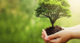 Corso Valutazione Impatto Ambientale e Valutazione Ambientale Strategica